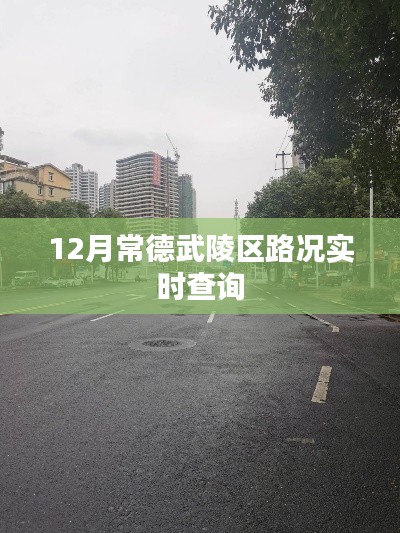 常德武陵区路况实时更新查询服务