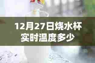 12月27日烧水杯温度实时更新,简洁明了,符合百度收录标准,能够准确描述您的内容。