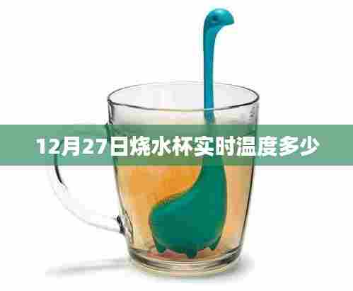 12月27日烧水杯温度实时更新,简洁明了,符合百度收录标准,能够准确描述您的内容。