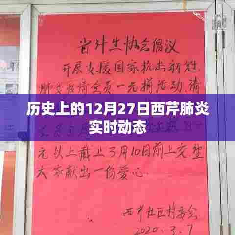 历史上的西芹肺炎实时动态,聚焦十二月二十七日进展