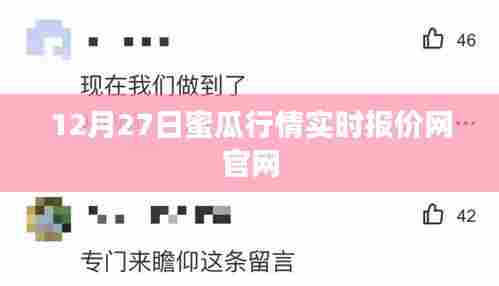 12月27日蜜瓜行情官网实时报价概览