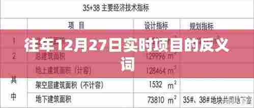 往年12月27日反义实时项目