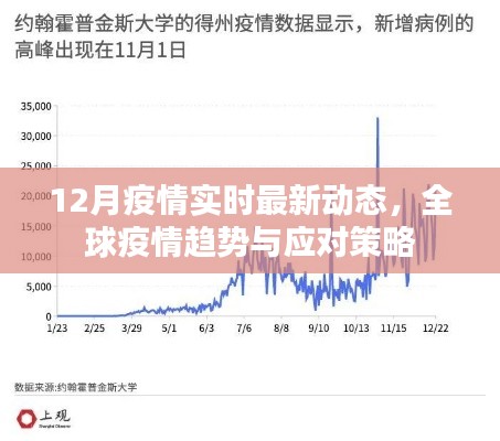 全球疫情最新动态及应对策略，实时更新数据分析