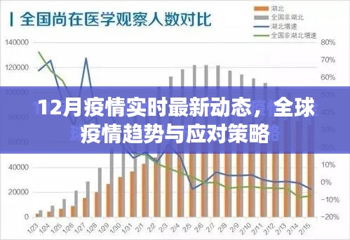 全球疫情最新动态及应对策略,实时更新数据分析