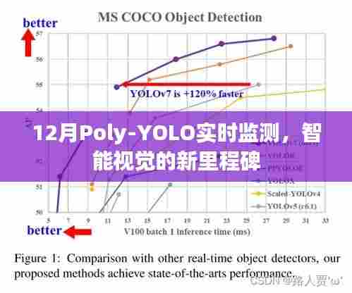 Poly-YOLO实时监测,智能视觉新里程碑