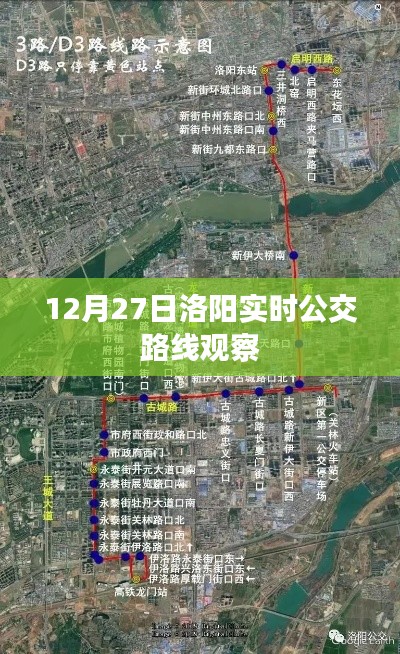 洛阳公交路线观察，实时动态解析