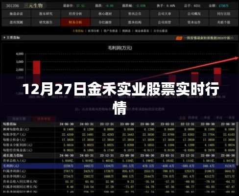 金禾实业股票最新实时行情（12月27日）