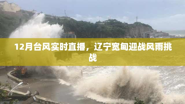 辽宁宽甸迎战风雨挑战，实时直播台风动态，关注天气变化