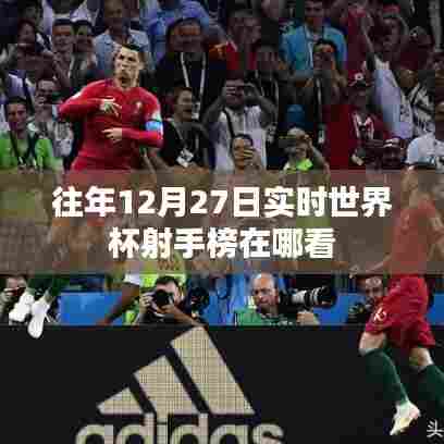 世界杯射手榜历年查询指南，如何查看往年世界杯射手榜实时数据