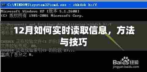 12月实时信息读取方法与技巧