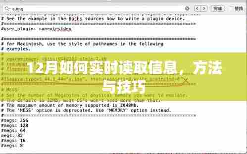 12月实时信息读取方法与技巧