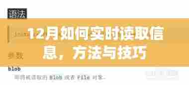 12月实时信息读取方法与技巧