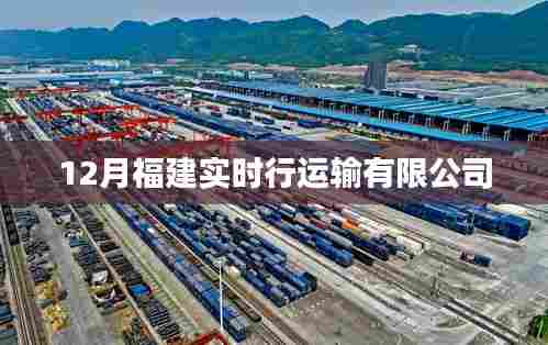 福建实时行运输有限公司最新动态(实时更新)
