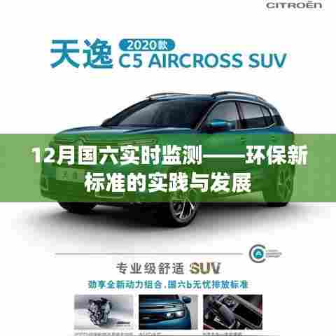 12月国六实时监测,环保新标准实践与发展解析