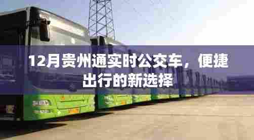 贵州通实时公交,便捷出行新选择