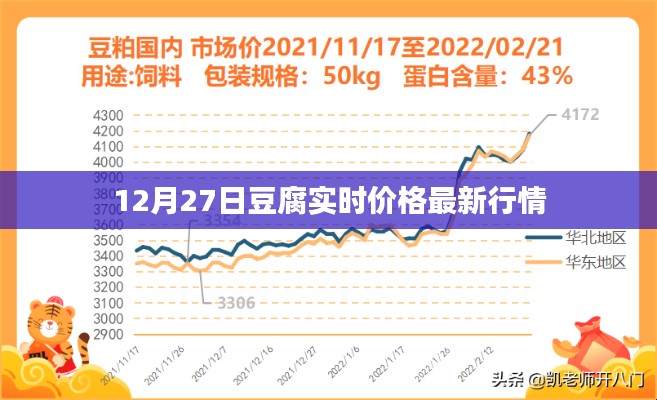 豆腐实时价格行情更新(最新动态)