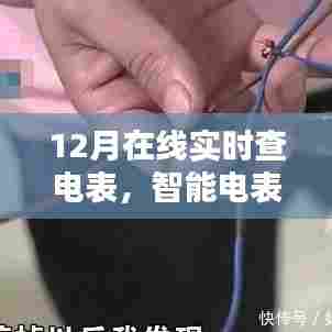 智能电表与电力监控新时代,12月实时查电表功能上线