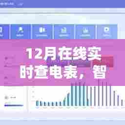 智能电表与电力监控新时代,12月实时查电表功能上线