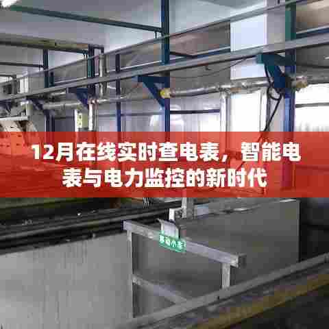 智能电表与电力监控新时代,12月实时查电表功能上线