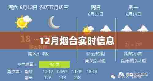 烟台最新实时资讯速递