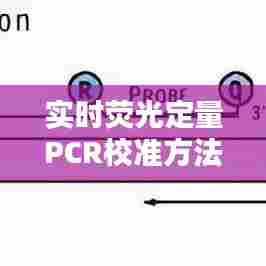 见仁见智 第5页