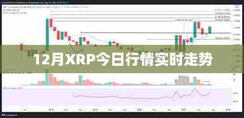 XRP 12月最新行情走势分析