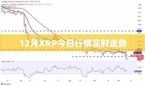 XRP 12月最新行情走势分析