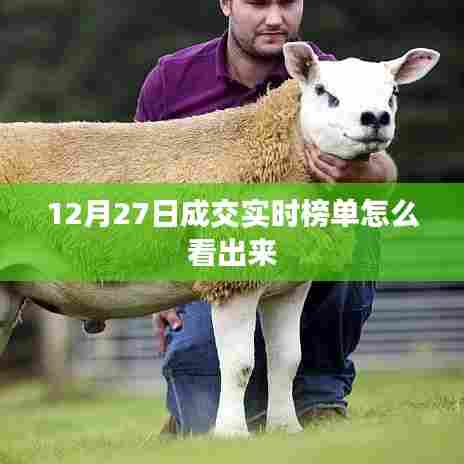 如何查看12月27日成交实时榜单