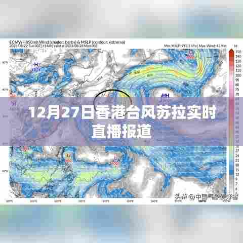香港台风苏拉最新实时直播报道,12月27日更新