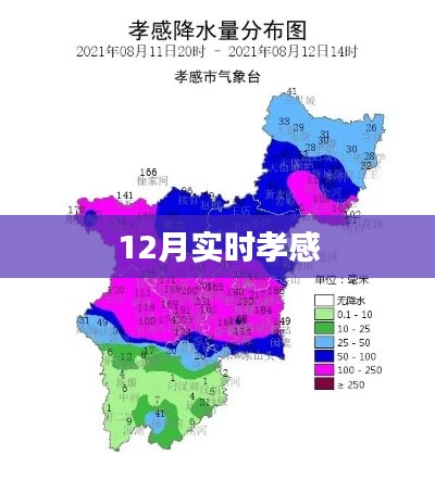 实时孝感新闻动态十二月速递
