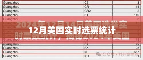 美国12月实时选票统计结果