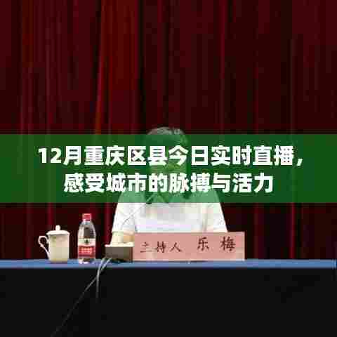 重庆区县直播,感受城市的活力与脉搏