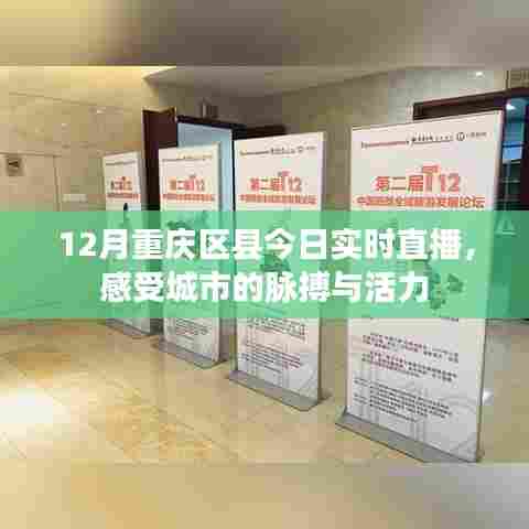 重庆区县直播,感受城市的活力与脉搏
