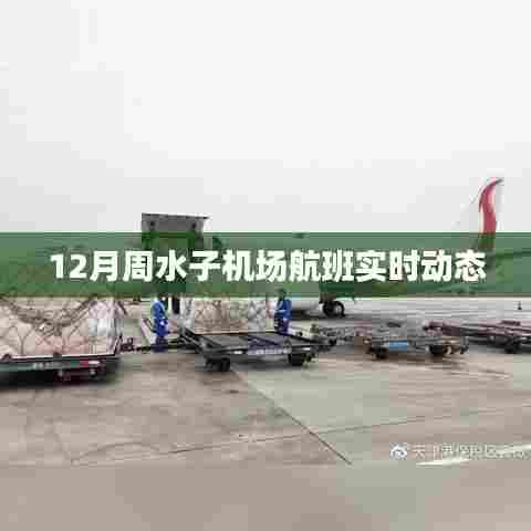 周水子机场航班实时动态查询通知