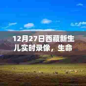 西藏新生儿诞生实录，高原祝福，生命璀璨