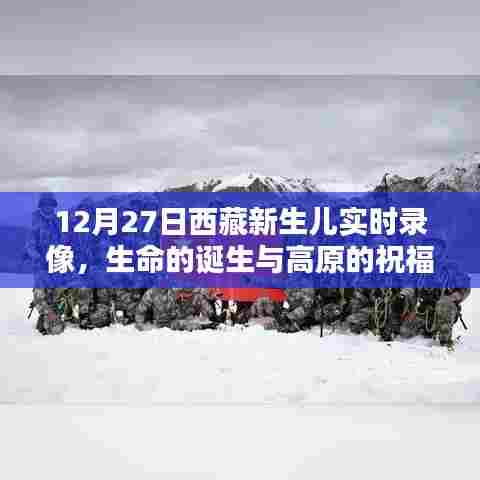 西藏新生儿诞生实录,高原祝福,生命璀璨