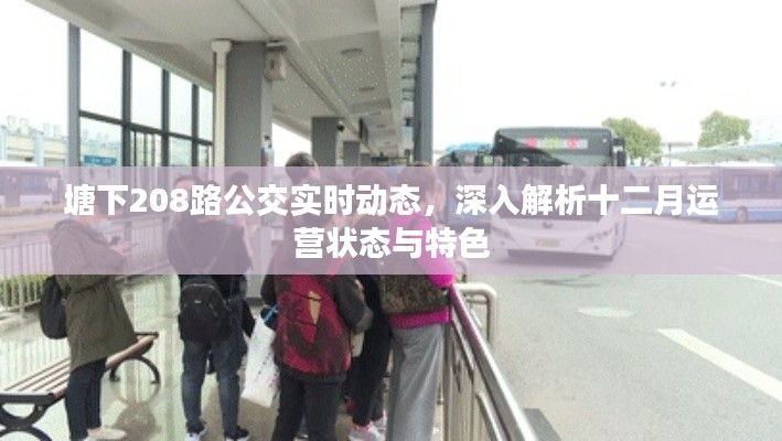 塘下208路公交实时动态，十二月运营特色与状态解析