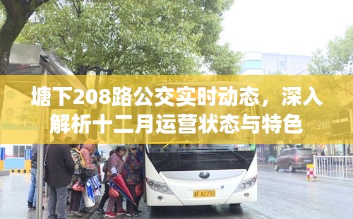塘下208路公交实时动态,十二月运营特色与状态解析
