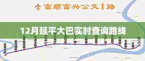 延平大巴最新路线查询（实时更新）