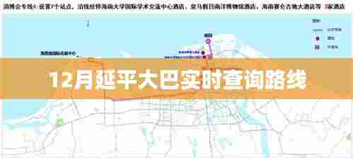 延平大巴最新路线查询(实时更新)