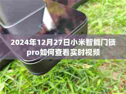 小米智能门锁pro实时视频查看教程
