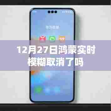 关于鸿蒙实时模糊取消的最新消息,12月27日更新动态解析