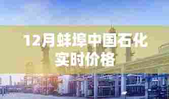 蚌埠中国石化12月实时油价查询