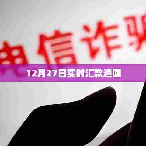 实时汇款追回操作指南（12月27日）