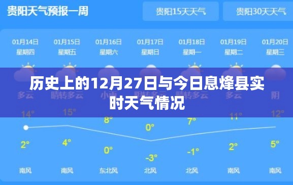 洵属可贵 第4页