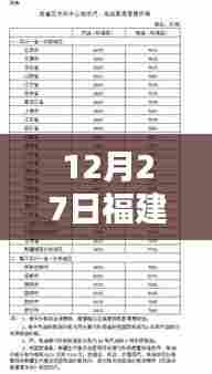 福建汽油最新实时报告，12月27日资讯