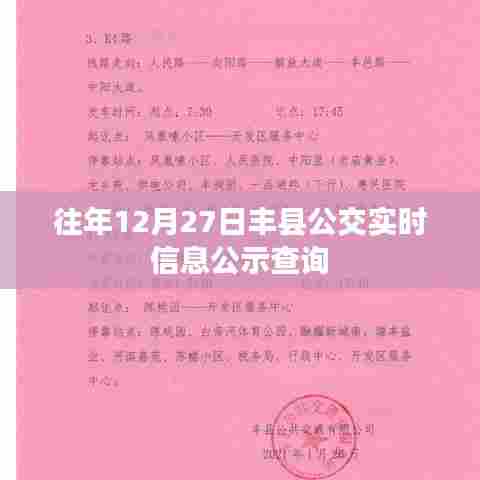 丰县公交实时信息公示查询往年12月27日动态
