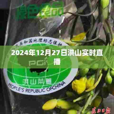 洪山实时直播,探索城市魅力,记录美好瞬间