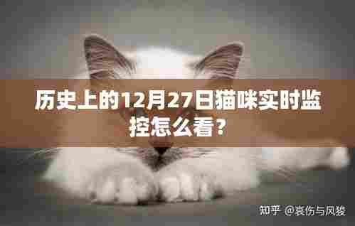 猫咪实时监控的历史解读,如何解读12月27日数据?