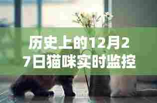 猫咪实时监控的历史解读,如何解读12月27日数据?